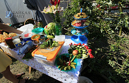 ������� ������� ���������� �� ��������� ������������ �������