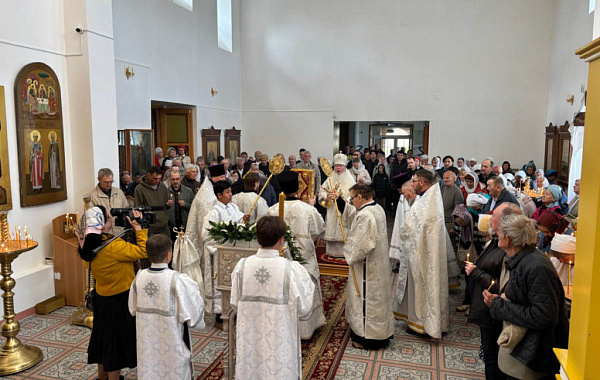 ������������ ������� �������� ���������� ��������