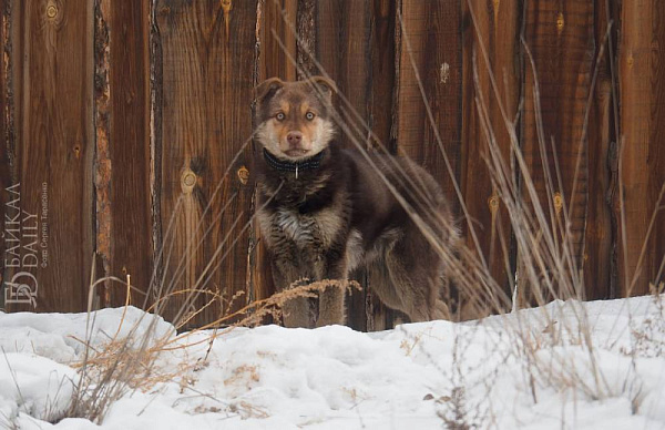 � ����-��� ���������� �������� �������� ����������� �� 2 � ������ ��������