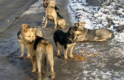 ������������-���� ��������� ����� �� ����� ����-���