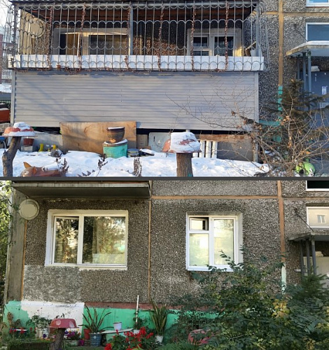 ����-������ ������ ������ � ��������� ���� �������� 