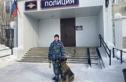 � ��������� ������� ��������� ������ �������� ����� 