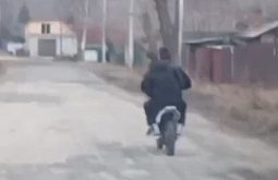 � ��������� ������� ��������� ���� ���������� �� �����������