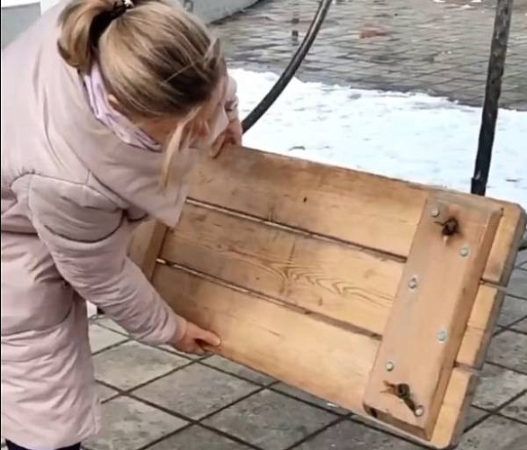 ����������������� ���������� �������� �� ������� ��������� � ����-���