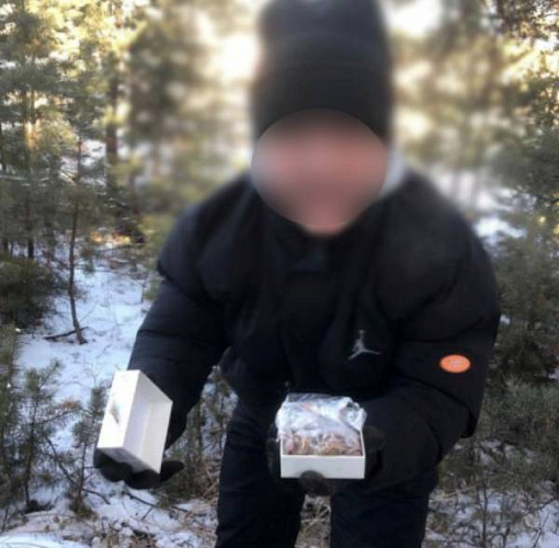 ��������� ����������� �� ������ �� ����� ����� ����� ��������� ���������