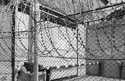 Три иркутских подростка отправились в колонию за теракты