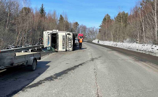 �� ������ � ������� ������������ ���� 