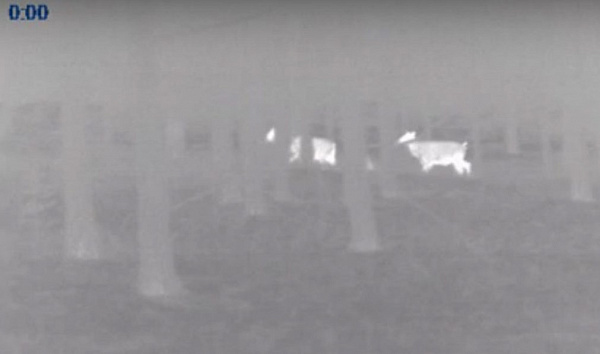 �� ������� �������� �������� � �����������. ����� 