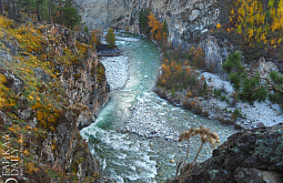 ���������-����� 2022: ������� �� ������������ ������