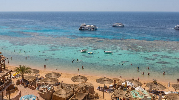 ������ ����������� ������������� � �������, ���������� � ���