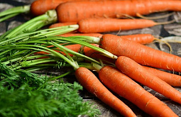 � ����-��� ���������� ������ � ���������� ������� 