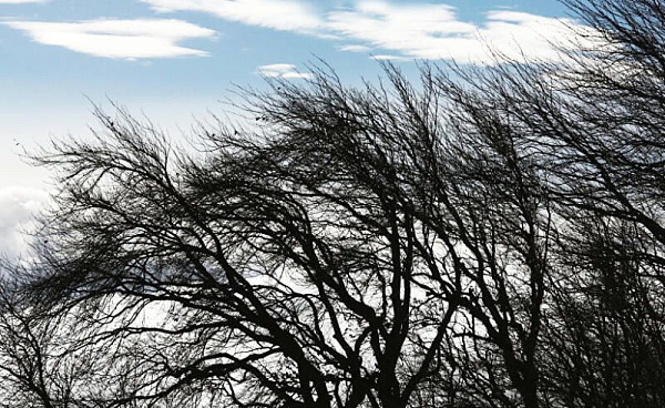 ������� ��������� ����� ���������� �� ������� � � ��������� �������