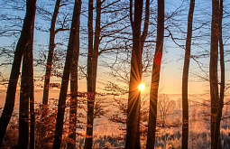 � ������� ������� ��������� ������� �� ����� 