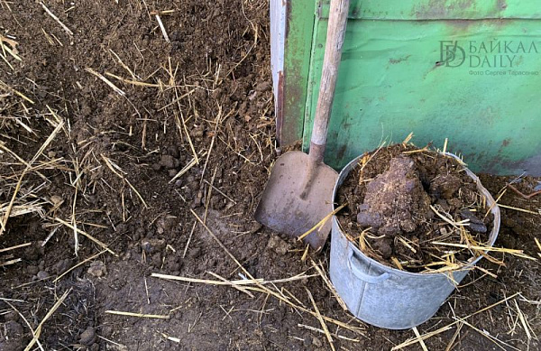 � ������� ����������� ������� ��������������� ��-�� ������������� �������� ������