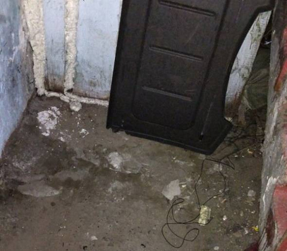 � ����-��� �������� �����������, ����������� ��������