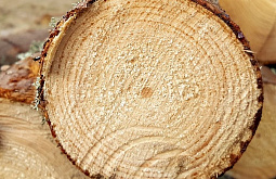 � ������� ���������� ��������� ������������