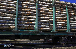 � ������ ���� �� ������� ������� ����� 600 ����� ���������� ���� 