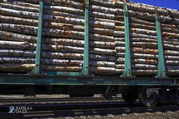 � ������ ���� �� ������� ������� ����� 600 ����� ���������� ���� 