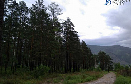 � ������� ��� ������ ������� 