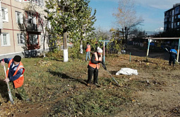 � ����-��� ������� ����� 15,5 ���������� ������ 