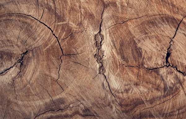 � ������� ������� ��������� �������������