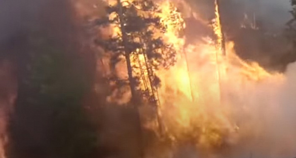 � ����������� ������ ������� ������ ����� �� 