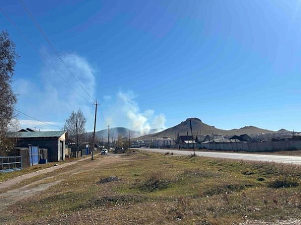 � ��������� ����-��� ����� ����� 