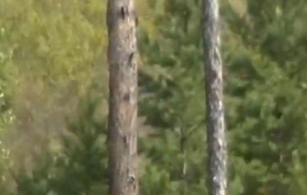 � ������� �������� �������� ������� ������ �� ����� 