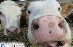 � ������� ����������� ������� ����� ����, ����� ���������� ��� ���������