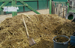 � ��������� ������� ������ ����������� ������� ��������� 