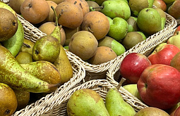 � ����-��� ������� �� ���� ������ �������������� ������������ ������ �� �����