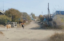 � ����� �� ��������������� ��������� 27 ����� 