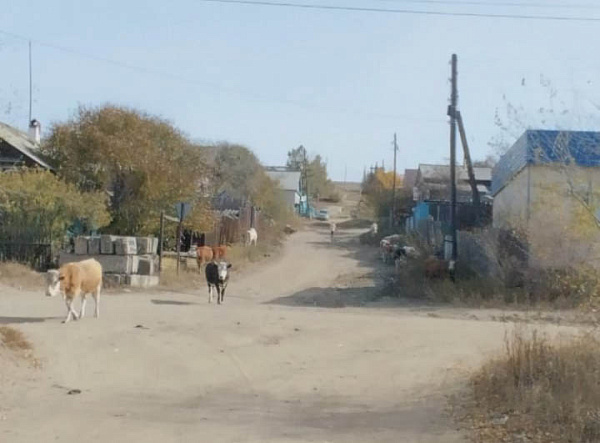 � ����� �� ��������������� ��������� 27 ����� 