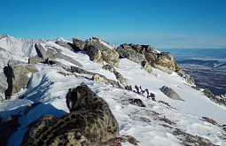 � ������� ��������� 9 ������� ������ (����, �����)