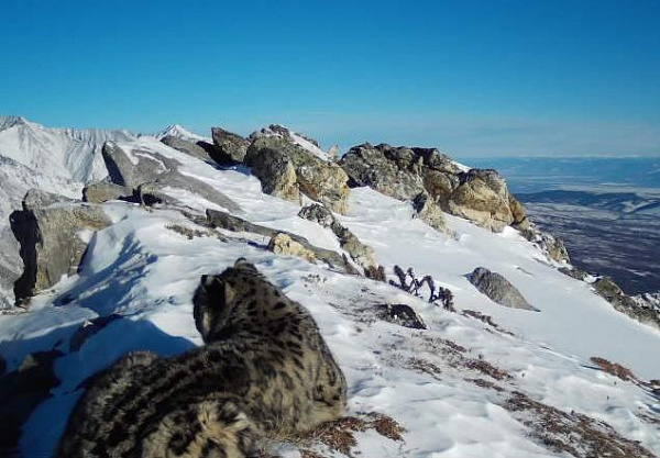 � ������� ��������� 9 ������� ������ (����, �����)