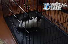 �� ������������ ������� ��������� ������� ����� 500 ��������