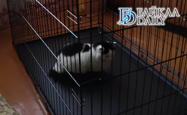 �� ������������ ������� ��������� ������� ����� 500 ��������