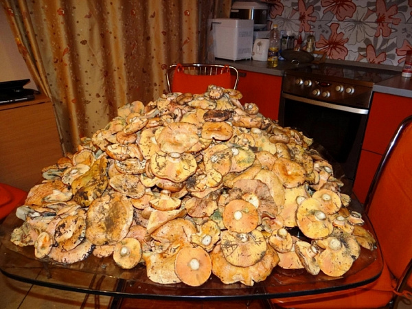 ������� ��������� ������������, � ������� ������� ������ ������