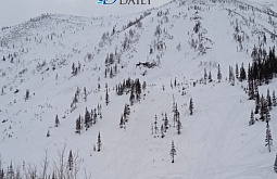 � ������� ����� ����� ������ 