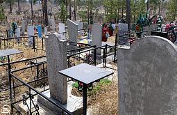 � ���������� ���� �������� � �������� ������ ������� �� �������� 