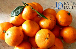 � ������� ����� ����� ����� ������� ���� �� ��������� 