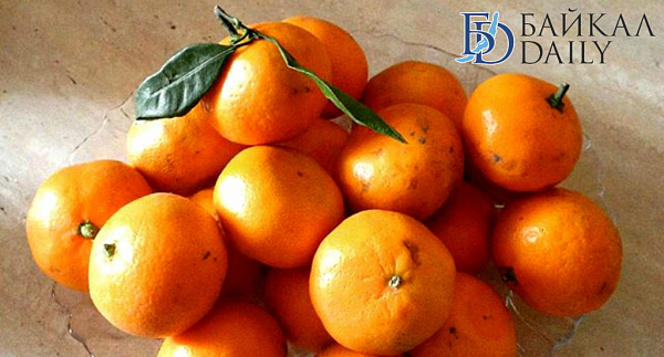 � ������� ����� ����� ����� ������� ���� �� ��������� 