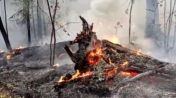 ������������� ������������ ������ ��������� �� ������ ��������� �������