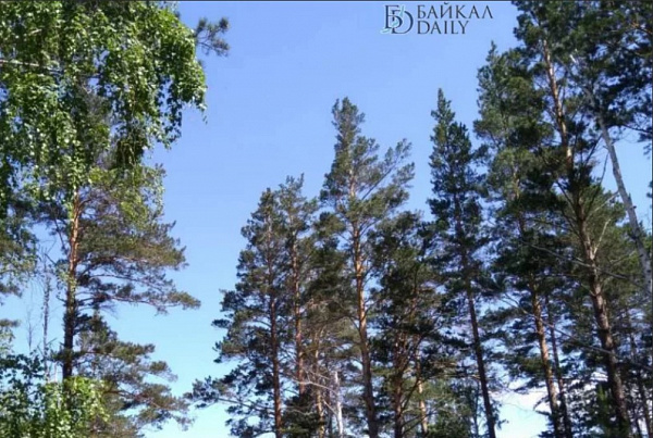 � ������� ��������� ������ ������ ��������, � ����� ���