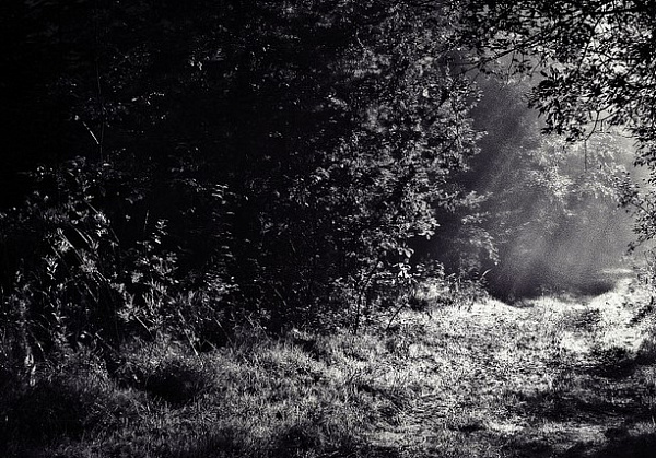 ������� � �������: � ������� ���� ������������ � ���� ������� 