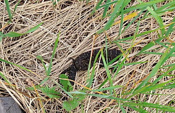 � ������� ����� � ������� ���������� 8 ������������� �� ���� ����