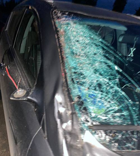 � ��������� ������� �������� KIA Sportage �������� ���� ����