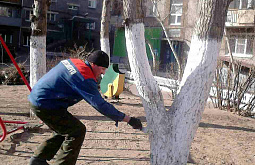 � ����-��� �������� ������� ��������