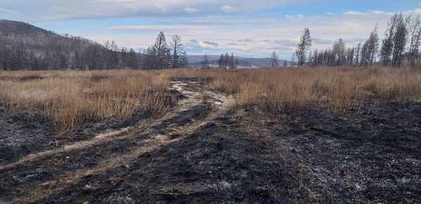 В Бурятии оперативно потушили сложные лесные пожары 