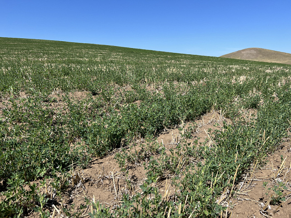 � ������� � ��� ���� ������� ���� �� �������� ��������